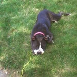 Meet your Posher, Haley